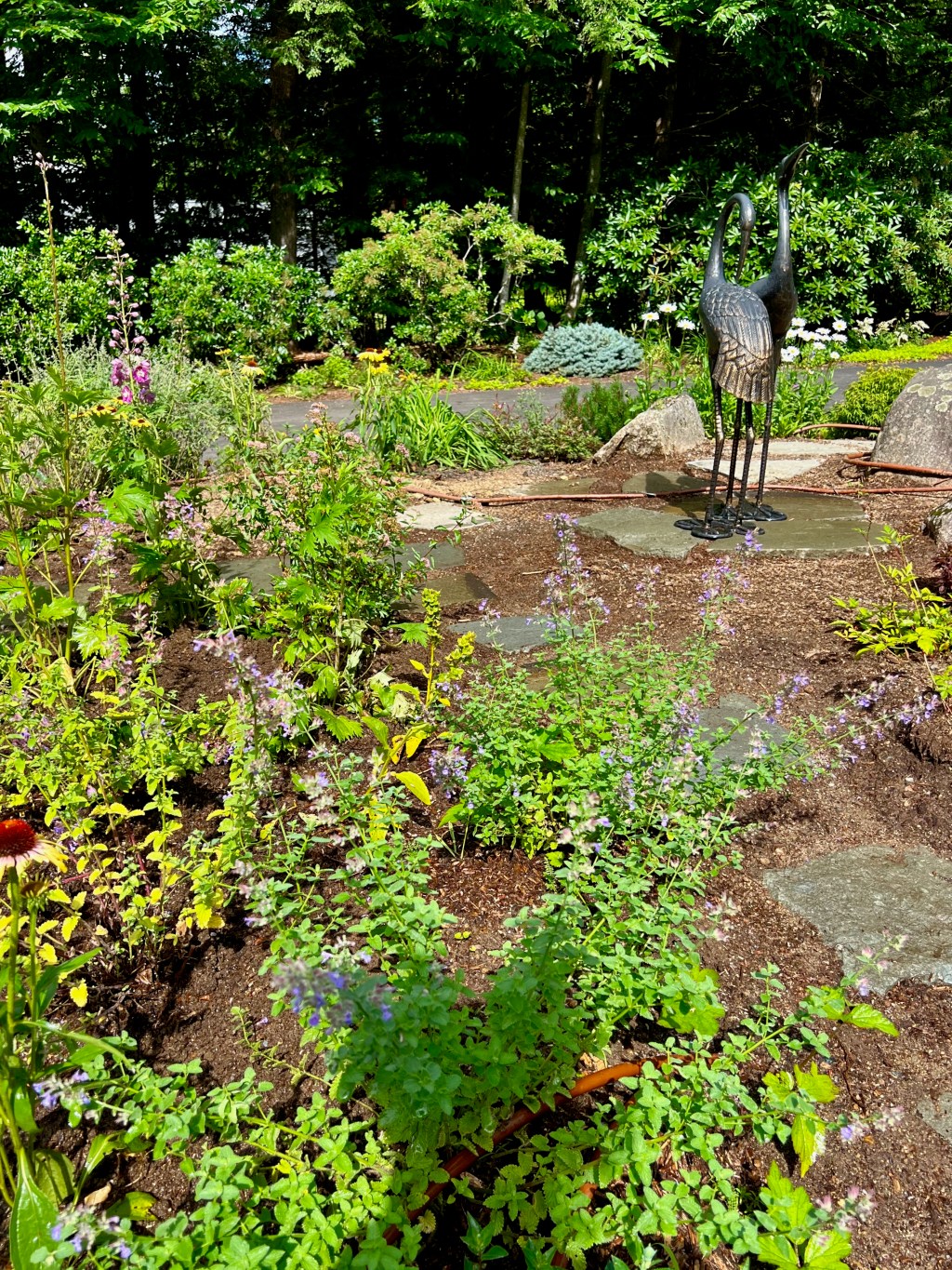 147 S COVE DRIVEWAY&nbsp;CENTER